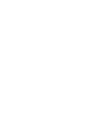 Studio.Vec